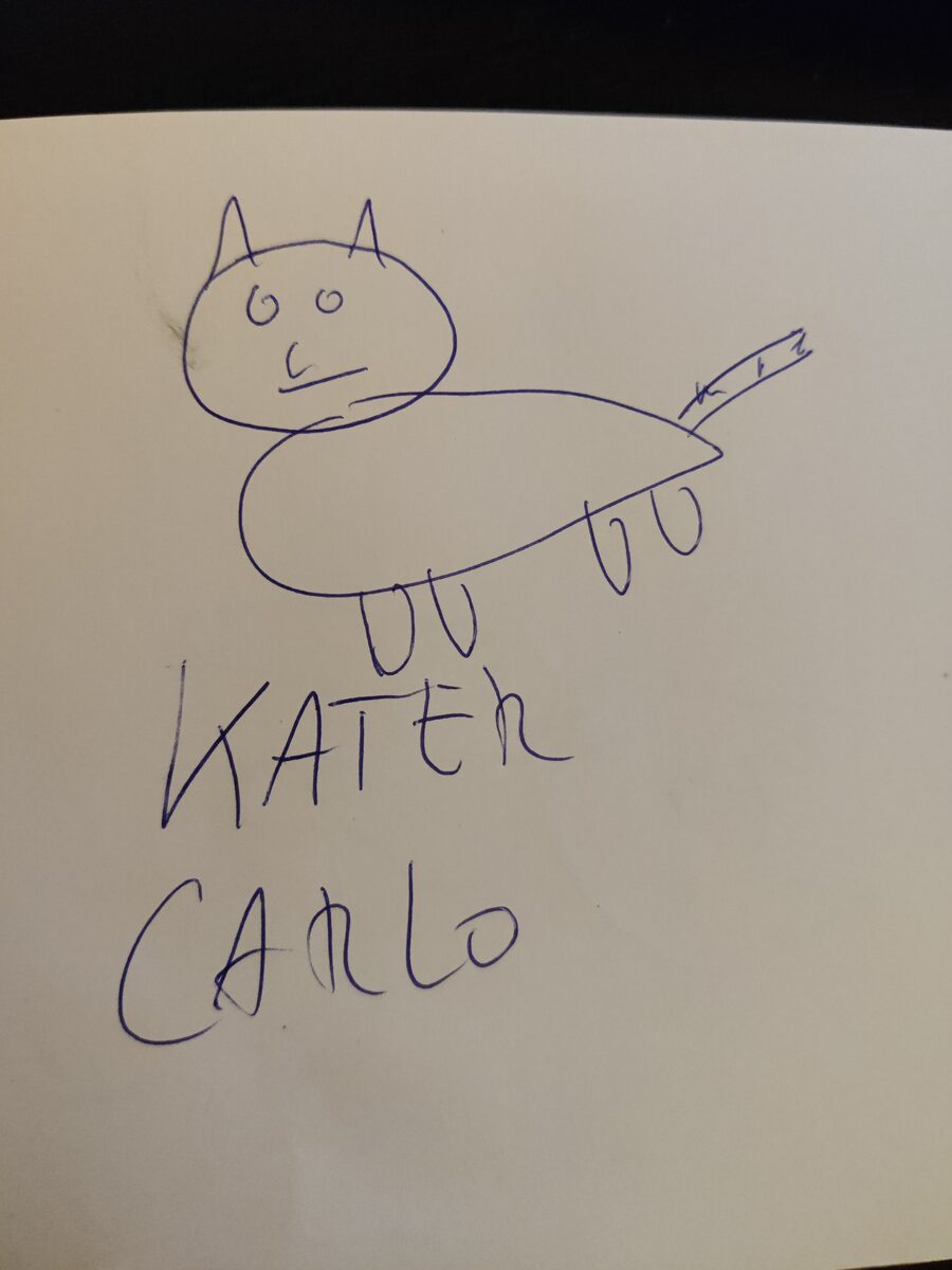 Kater Carlo Original