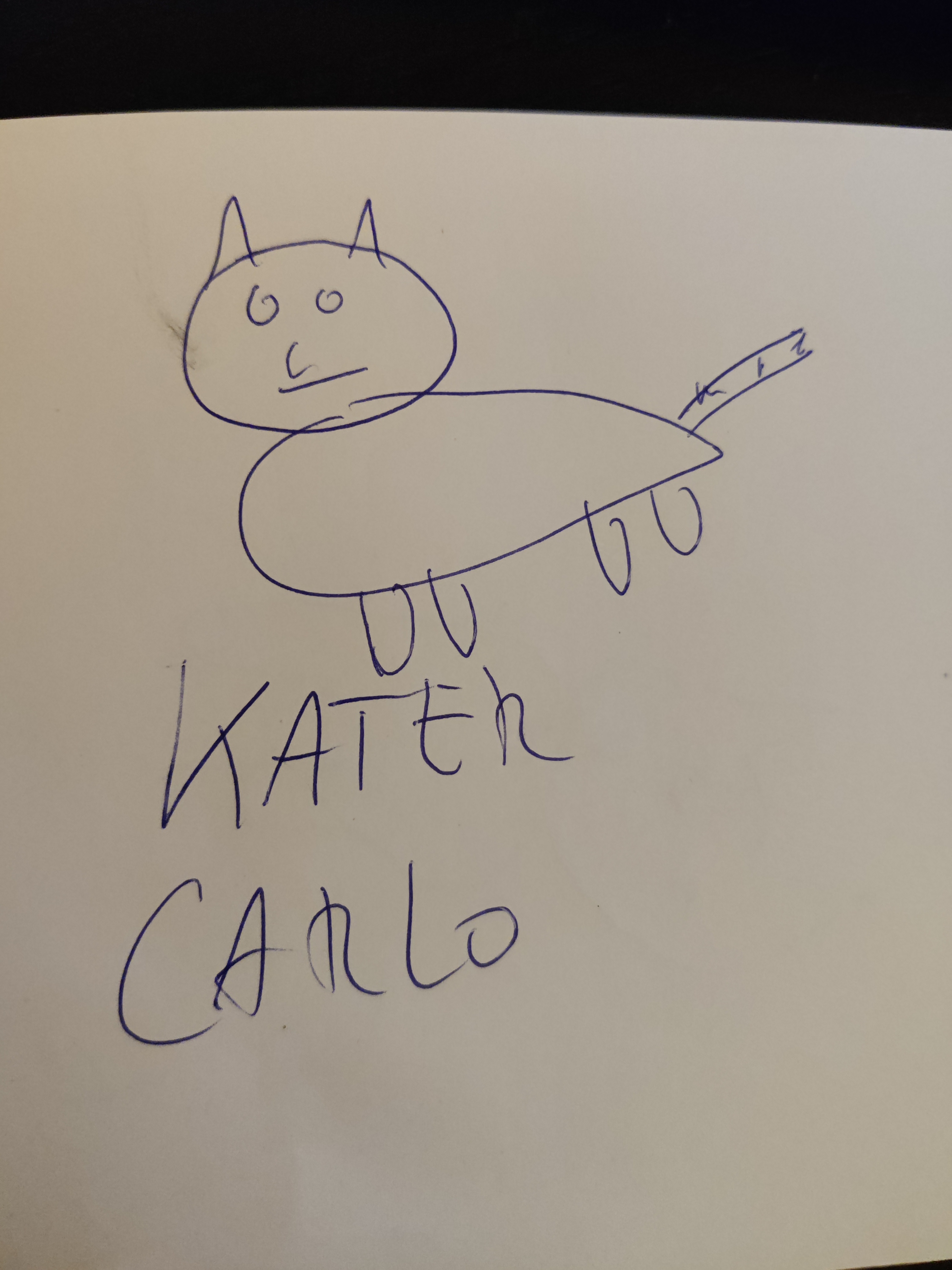 Kater Carlo Original